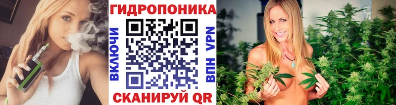 Купить закладки  Котельниково  МАРИХУАНА конопля 